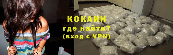 крисы Абаза