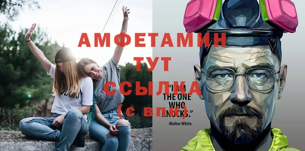 крисы Абаза