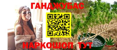не бодяженный Краснодар